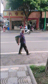 搞笑gif:带狗子去过一次酒吧,从此就一发不可收拾